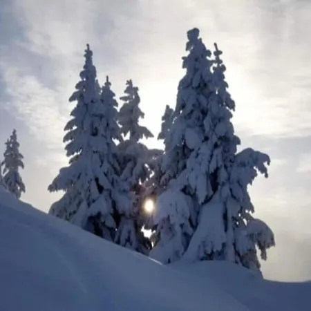 Graceful In With Sauna
