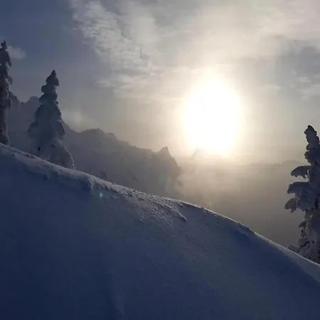 Graceful In With Sauna Dağ evi *