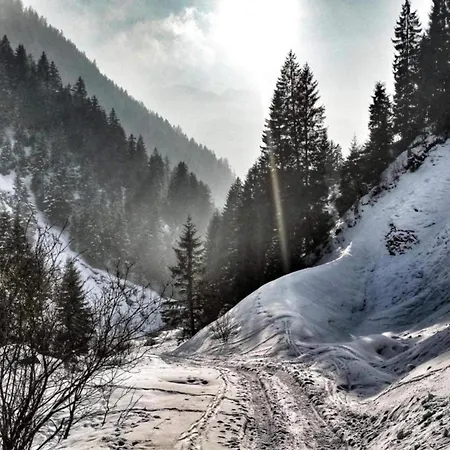 Graceful In With Sauna