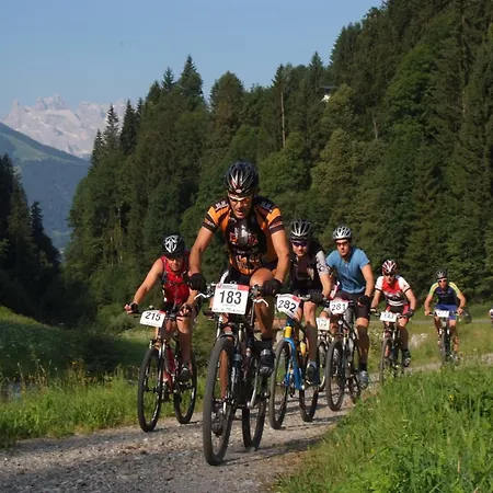 Graceful In With Sauna Dağ evi Gaschurn