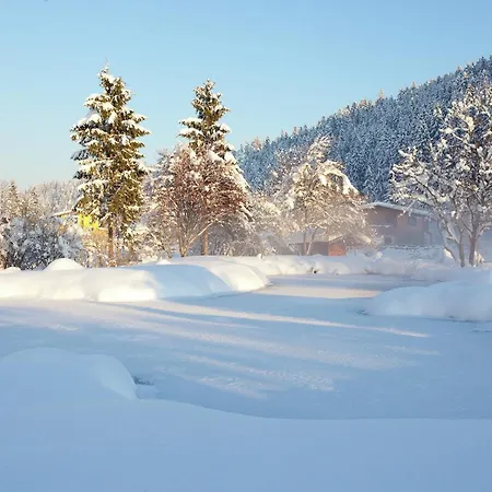 Graceful In With Sauna Chalet